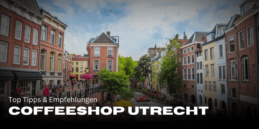 The best coffee shops in Utrecht for tourists: top tips & recommendations 🌿