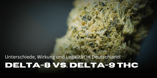 Delta-8 vs. Delta-9 THC: Unterschiede, Wirkung und Legalität in Deutschland