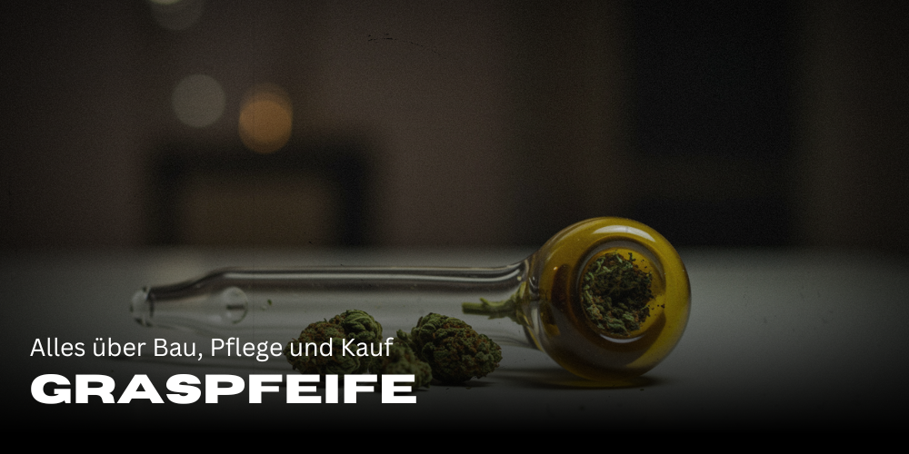 Graspfeife: So findest, baust und pflegst du die perfekte Pfeife