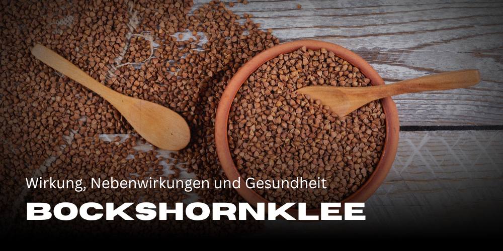 Bockshornklee: Wirkung, Nebenwirkungen und Gesundheit