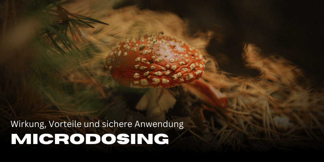 Microdosing: effects, benefits and safe use
