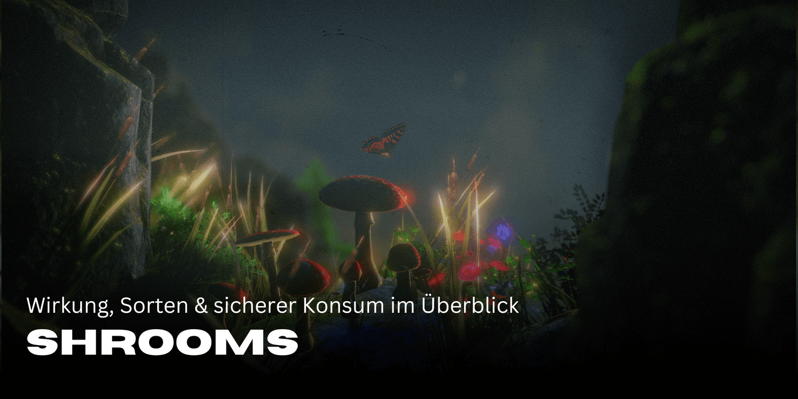 Shrooms: Wirkung, Sorten & sicherer Konsum im Überblick