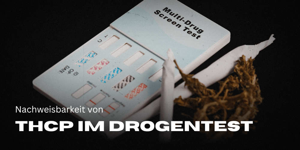Detectability of THCP in drug tests