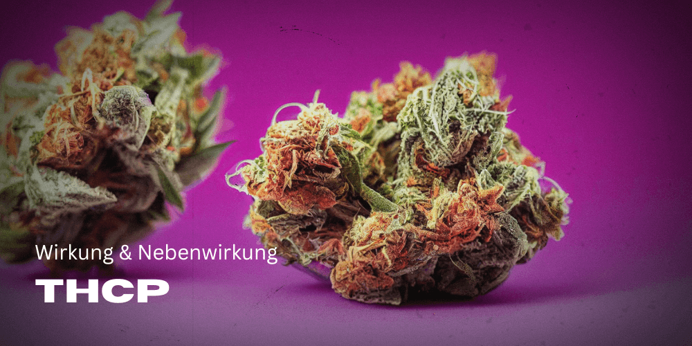 THCp - Gids: Effect & bijwerking 