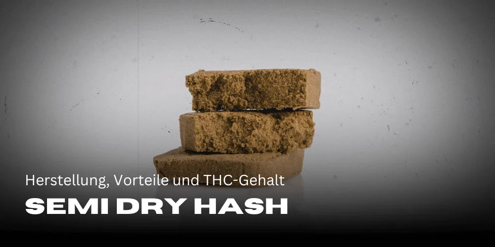 Semi Dry Hash: Herstellung, Vorteile und THC-Gehalt
