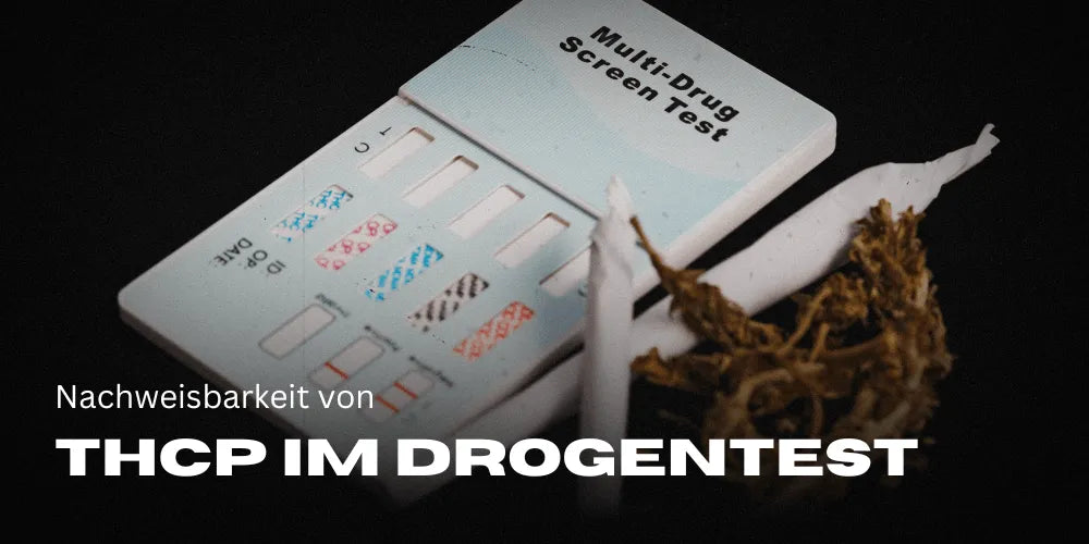 Nachweisbarkeit von THCP im Drogentest autofahren Verkehrskontrolle