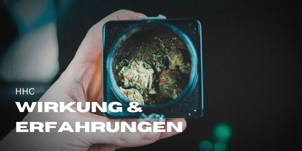 HHC Erfahrungen und Wirkung