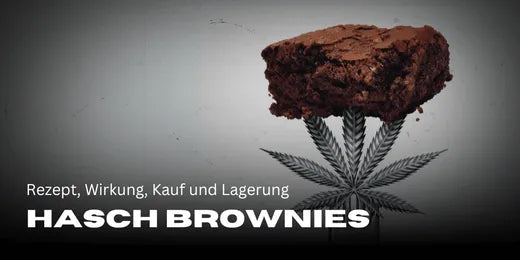 Rezept, Wirkung, Kauf und Lagerung von Hasch Brownies