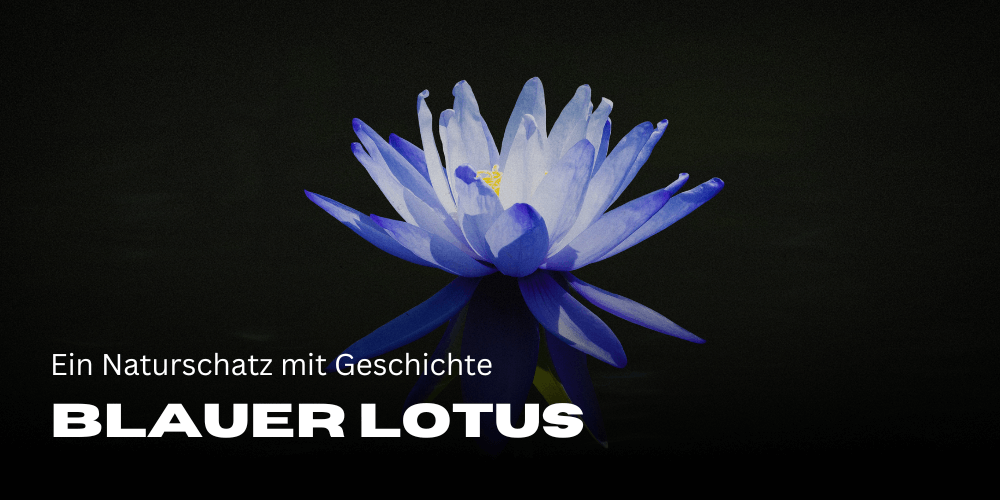 die Magie des Blauen Lotus