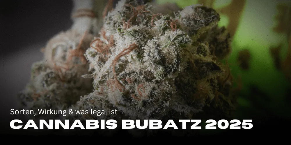 Cannabis Bubatz 2025: Sorten, Wirkung & was legal ist