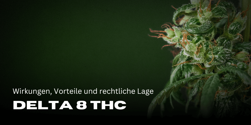 Delta 8 THC: effects, benefits and legal situation