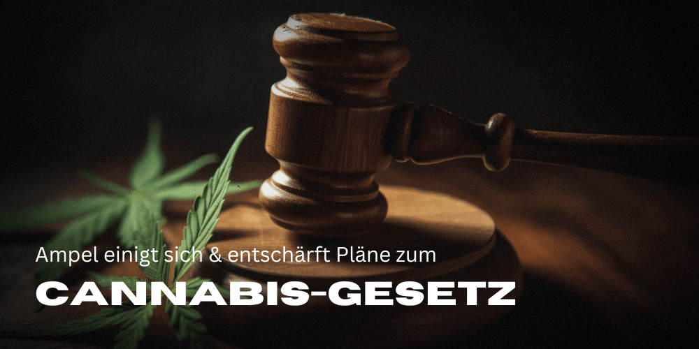 Cannabis Legalisierung-Gesetzgebung In Deutschland