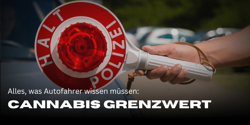THC-grenswaarde in Duitsland: Alles wat bestuurders moeten weten 