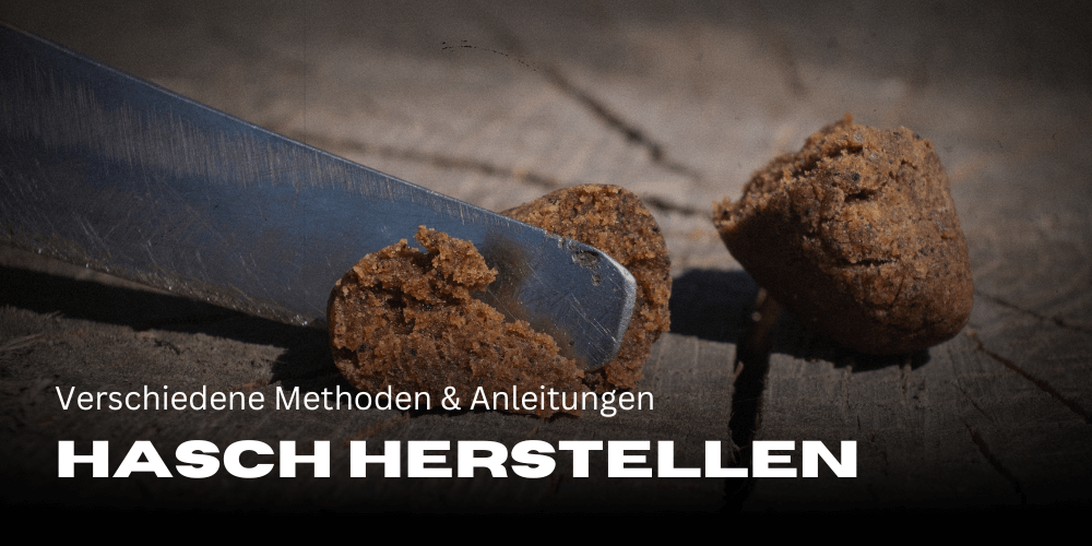 Hasch herstellen: verschiedene Methoden und Anleitungen