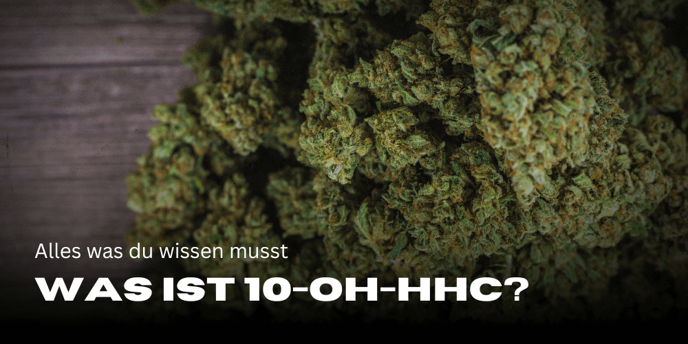 Wat is 10-OH-HHC? 