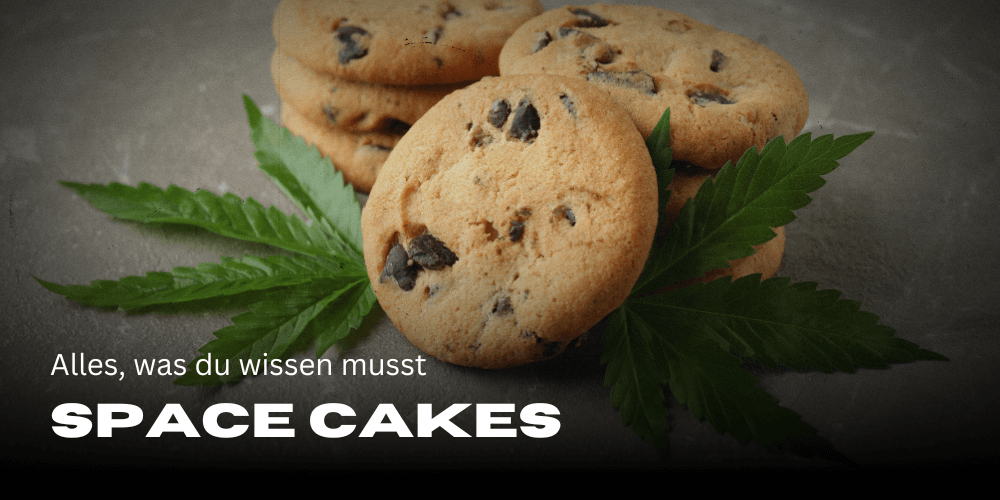 Space Cakes: Alles, was du wissen musst