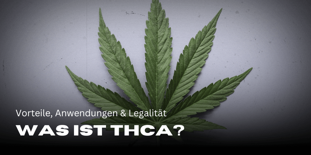 Wat is THCA? - Voordelen, toepassingen & legaliteit 