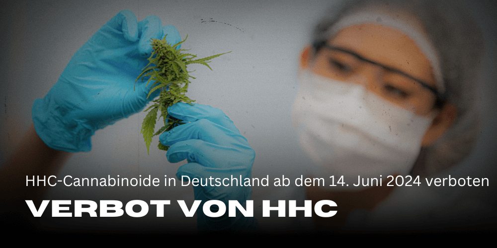 Ban on HHC cannabinoids in Germany from 14 June 2024