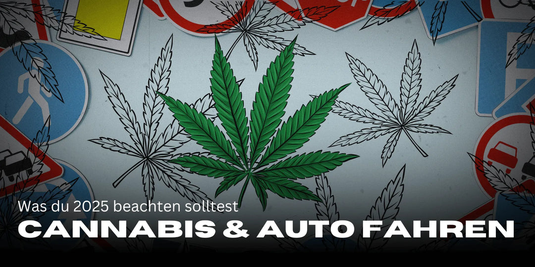 Cannabispatienten & Führerschein 2025: Regeln & Tipps 🚗