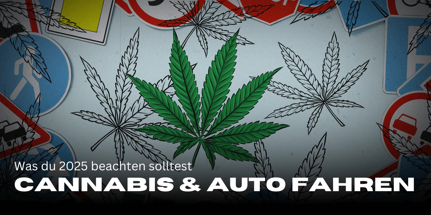 Cannabispatienten & Führerschein 2025