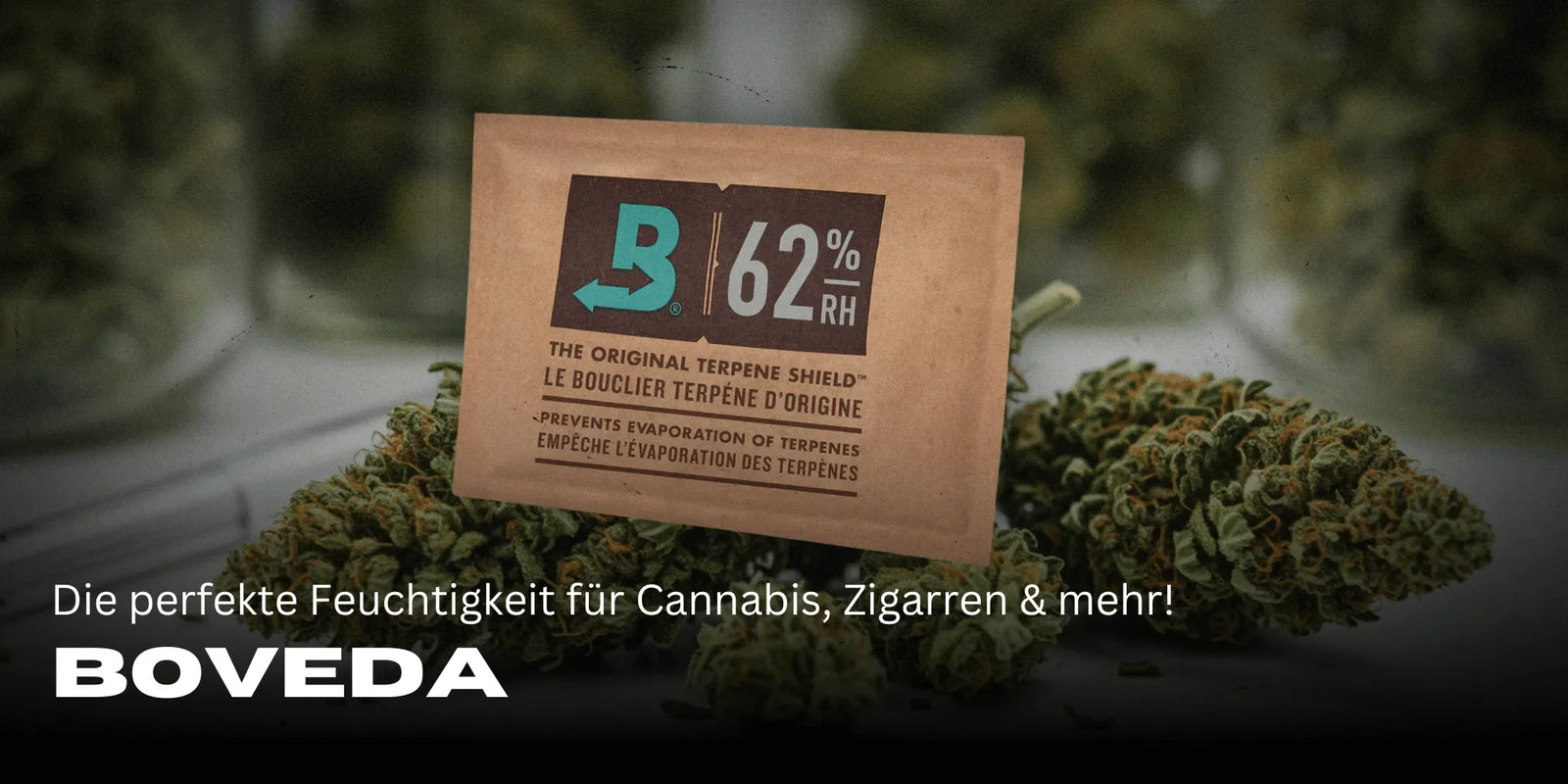 Boveda richtig verwenden: Anleitung für optimale Feuchtigkeitskontrolle-Smagro GmbH