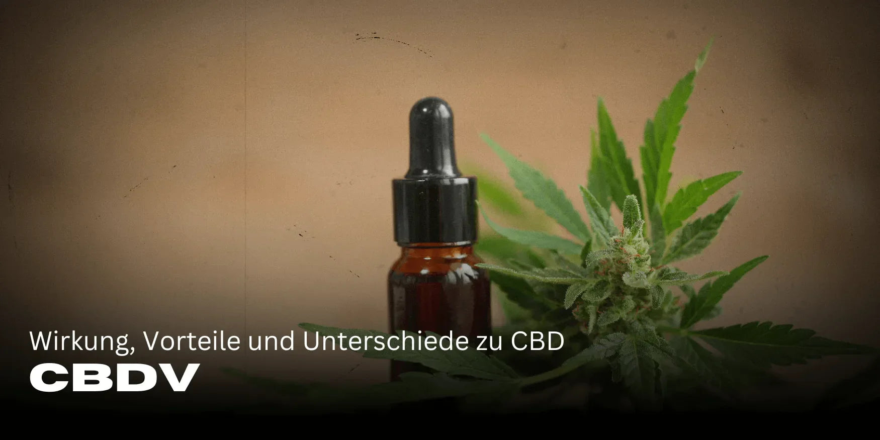 CBDV: Wirkung, Vorteile und Unterschiede zu CBD 🌿-Smagro GmbH