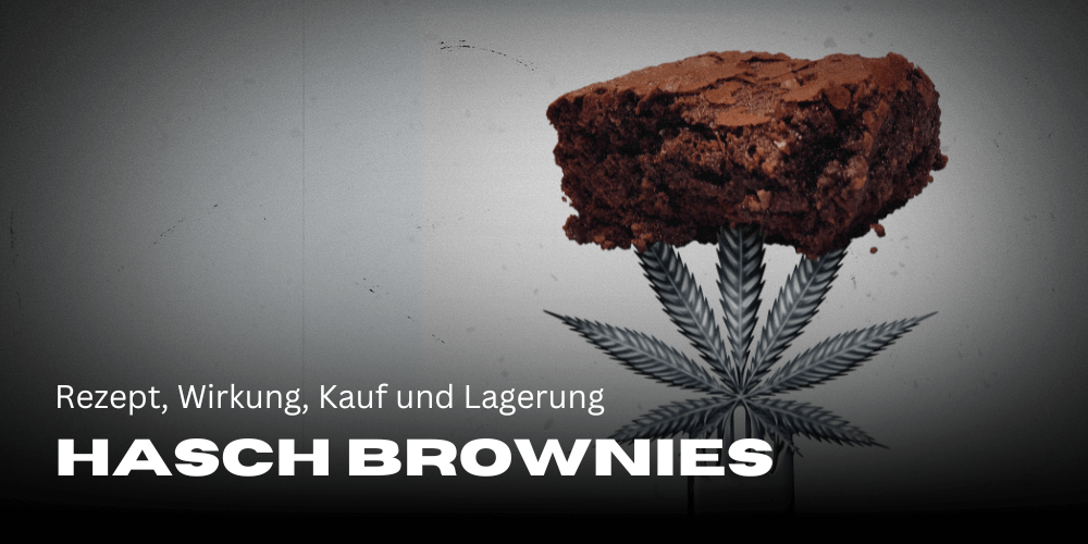 Hash brownies: recipe, effect, purchase and storage