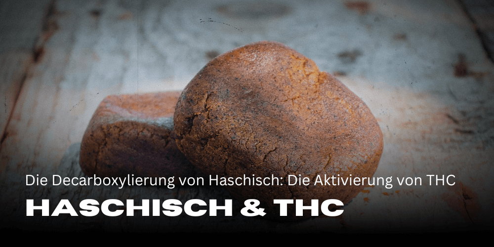 The decarboxylation of hashish: the activation of THC