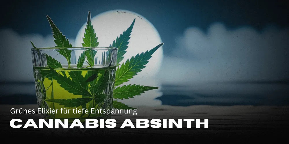 Cannabis Absinth: Grünes Elixier für tiefe Entspannung