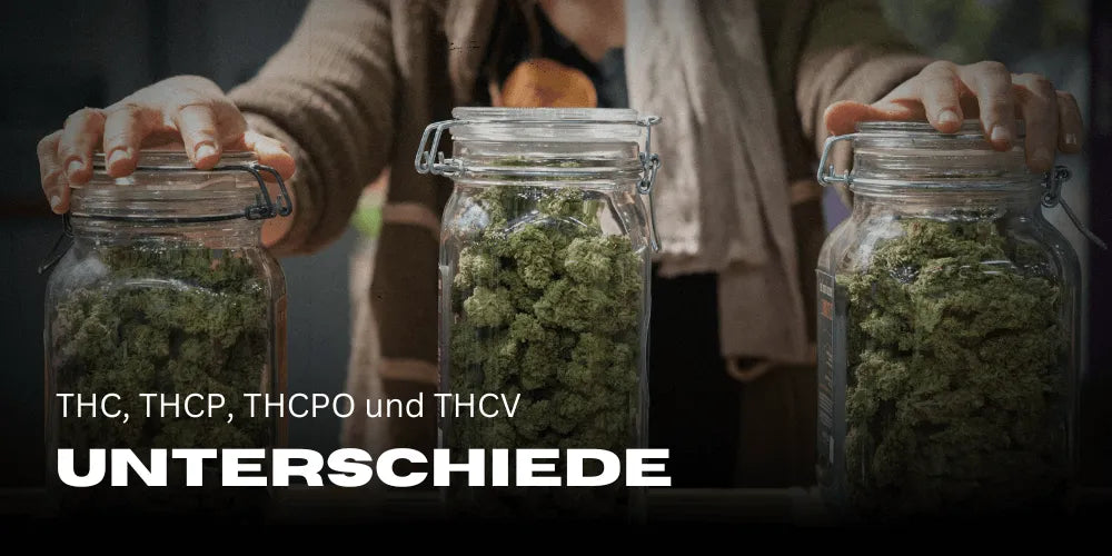Wo liegt der Unterschied: THC, THCP, THCPO und THCV