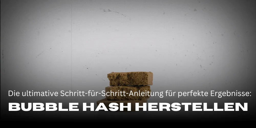 Bubble Hash herstellen: Die ultimative Schritt-für-Schritt-Anleitung für perfekte Ergebnisse-Smagro GmbH
