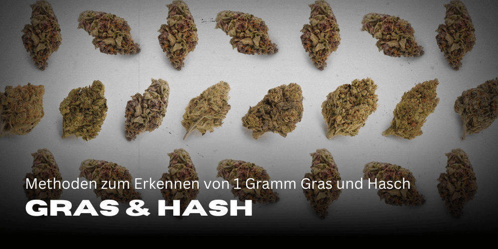 Methoden zum Erkennen von 1 Gramm Gras und Hasch