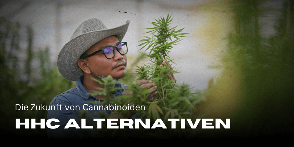 HHC Alternativen: Die Zukunft von Cannabinoiden