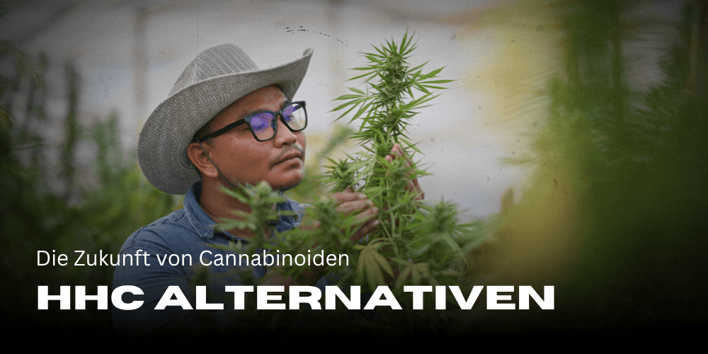 HHC Alternativen – Die Zukunft von Cannabinoiden