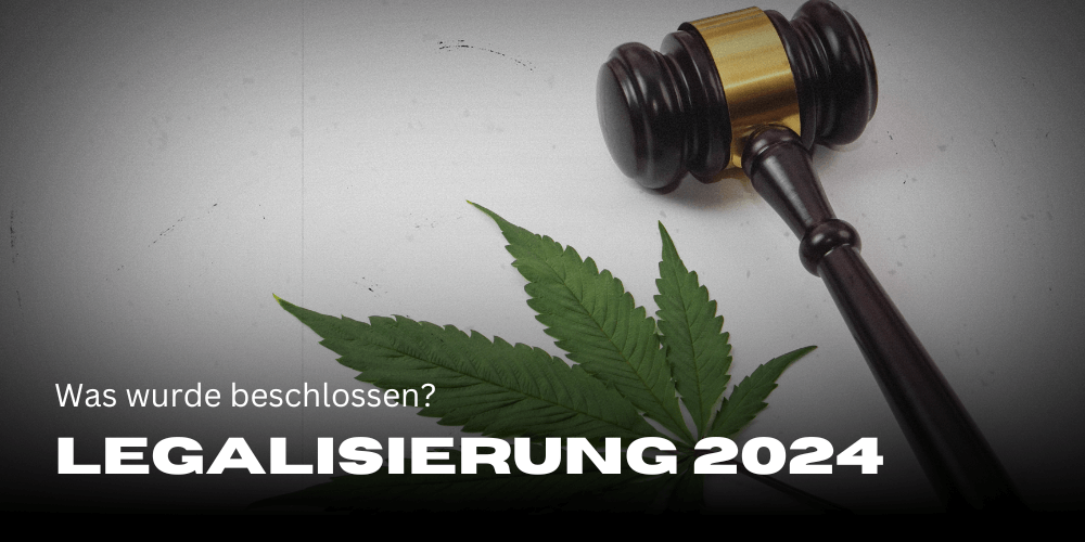 Cannabis-Legalisierung 2024