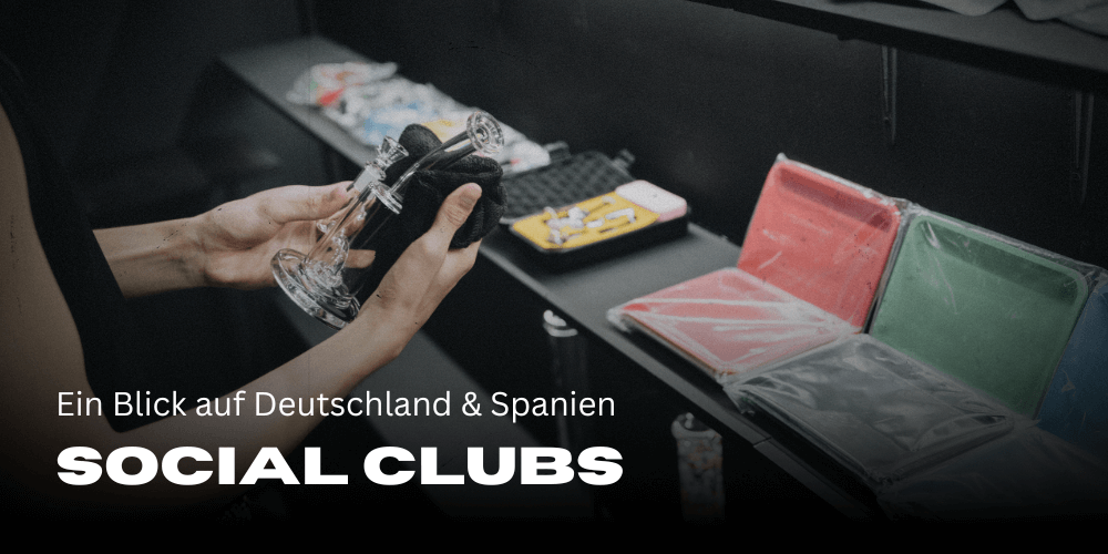 Cannabis Social Clubs: Ein Blick auf Deutschland und Spanien