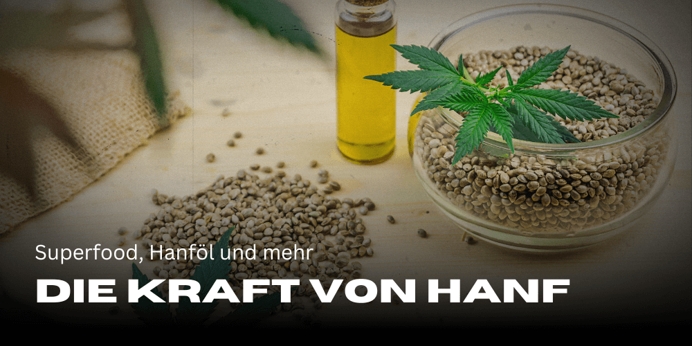 Superfood Hanf: Hanföl, Hanfmehl, Hanfsamen und mehr