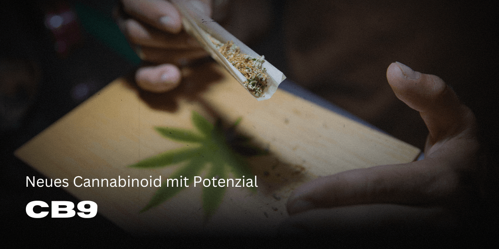 CB9: Das vielversprechende Cannabinoid mit Potenzial