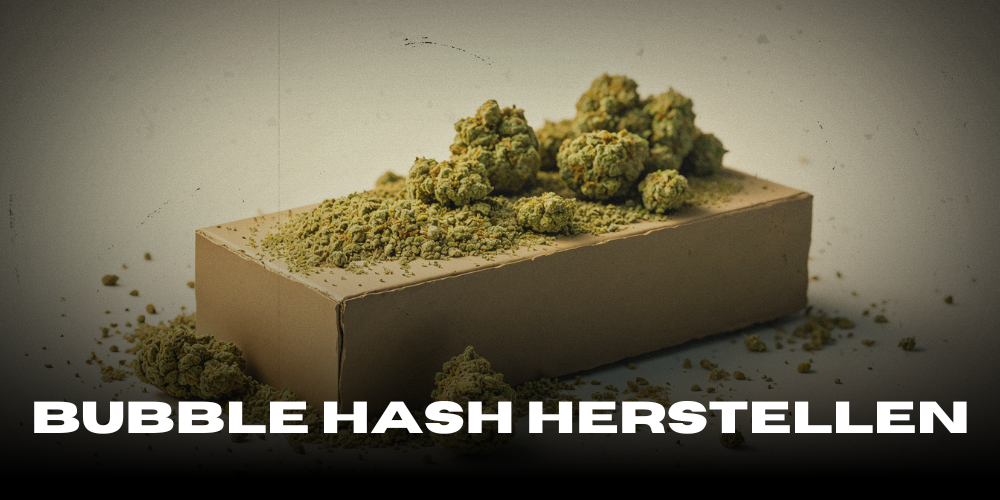 Bubble Hash herstellen: Die ultimative Schritt-für-Schritt-Anleitung für perfekte Ergebnisse