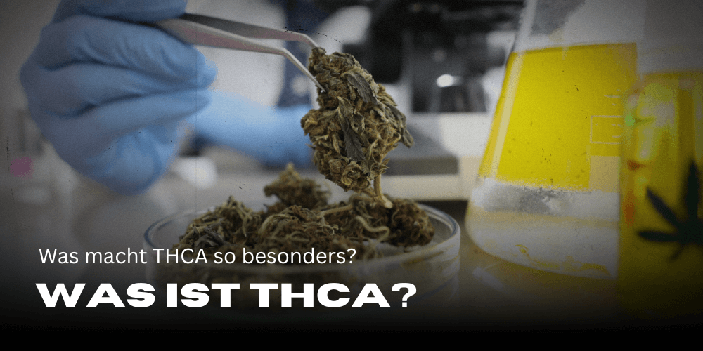 Wat is THCA en wat maakt het zo speciaal? 