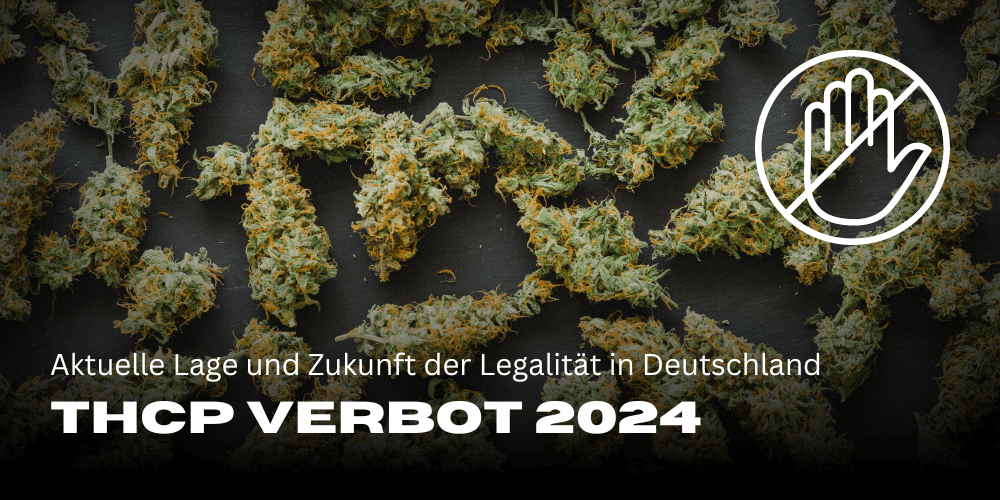 THCP-verbod 2024: Huidige situatie en toekomst van legaliteit in Duitsland 