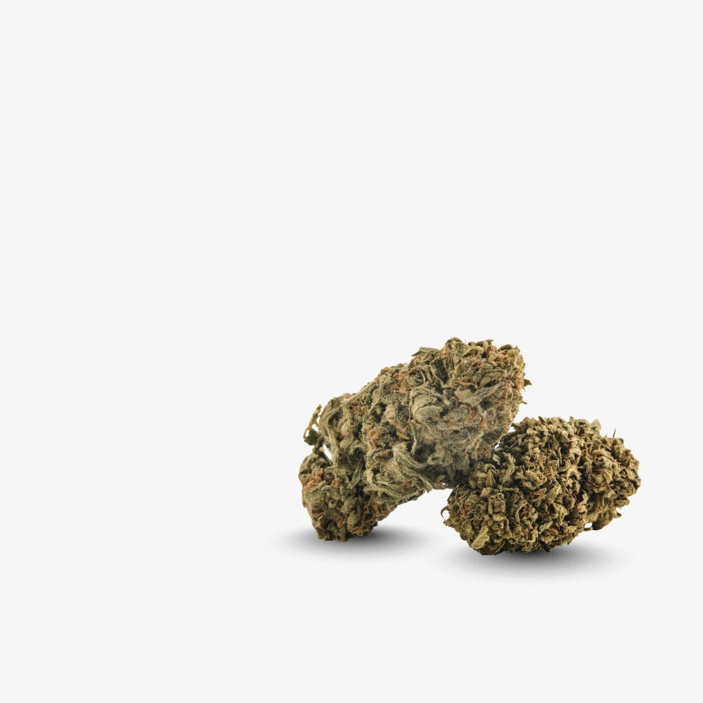 CBD Blüten-Smagro GmbH