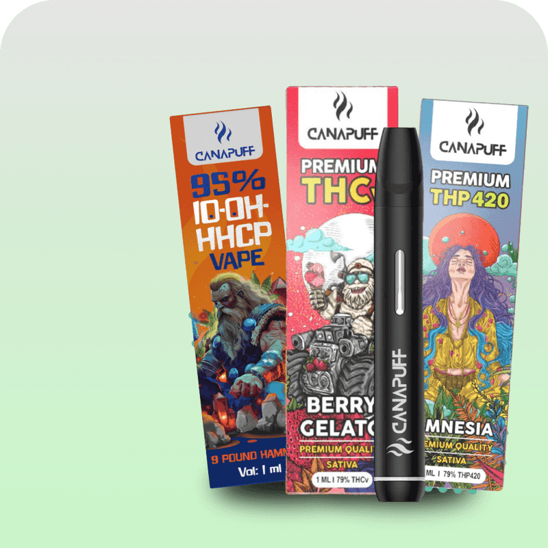 THC Vapes kaufen - Premium Alternativen THC Vapes kaufen - Premium Alternativen