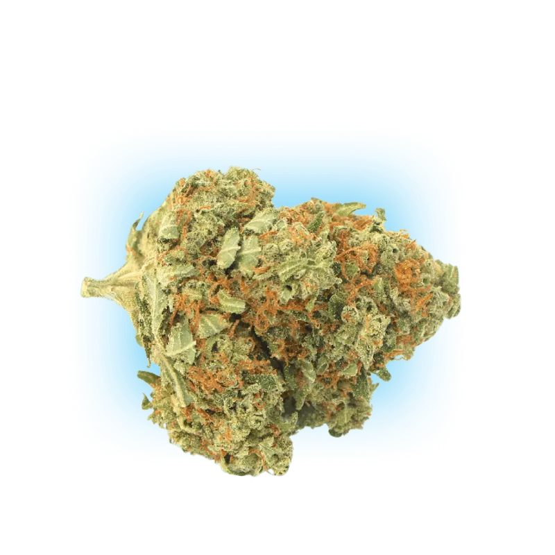 10-O El Chapo 1g 10%-HHCFriends