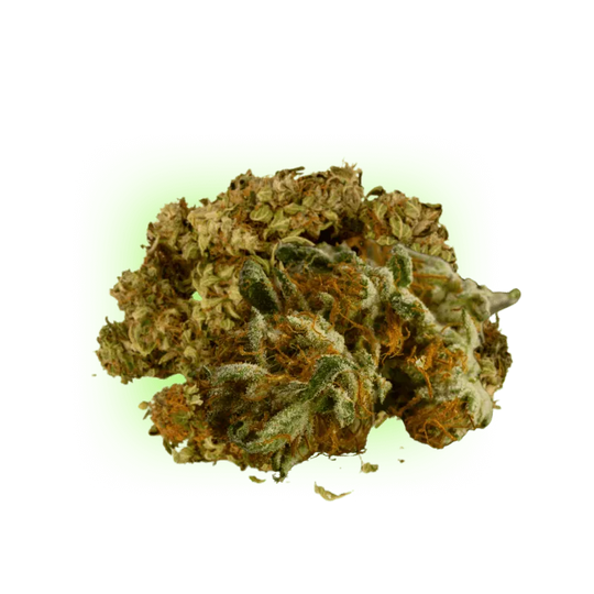 10-O Mimosa Punch 1g 10%-HHCFriends