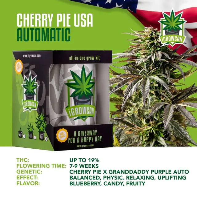 Alles-in-één kweekset: Cherry Pie USA (iGrowCan)