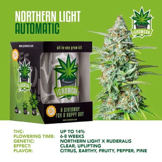 All-in-One Grow Kit: Northern Light Auto (iGrowCan)