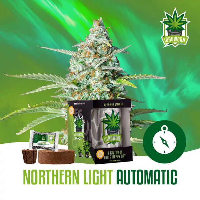 All-in-One Grow Kit: Northern Light Auto (iGrowCan)