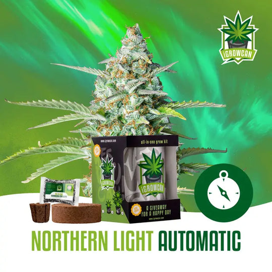 Alles-in-één kweekset: Northern Light Auto (iGrowCan)