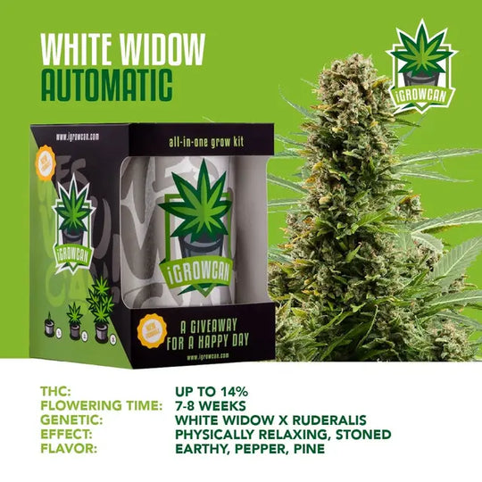 Alles-in-één kweekset: White Widow Auto (iGrowCan)